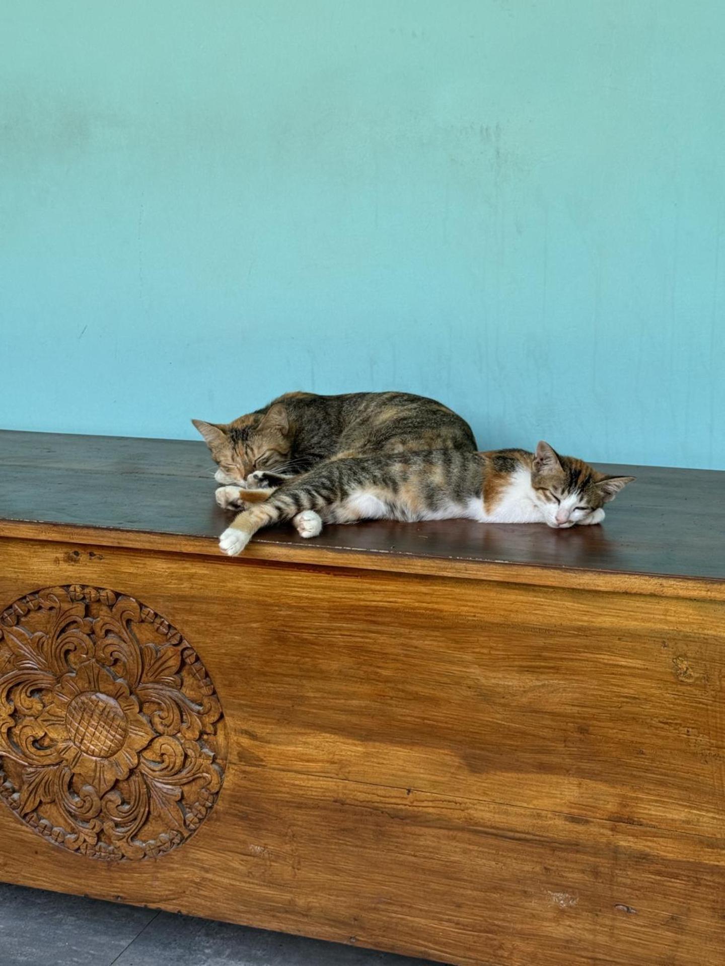 Secret Spot Surf And Stay Kuta  エクステリア 写真